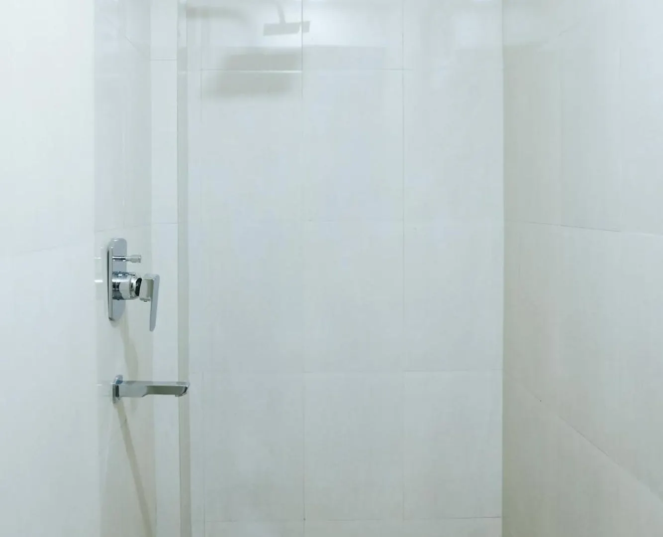 Hotel Snowlion 加德满都