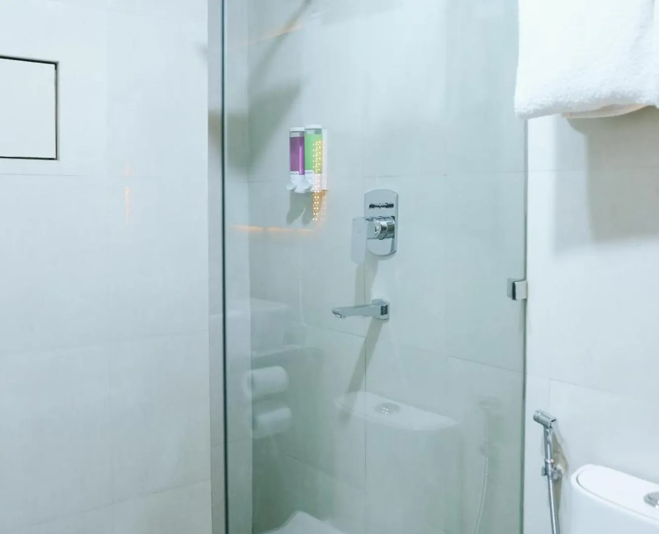 Hotel Snowlion 加德满都